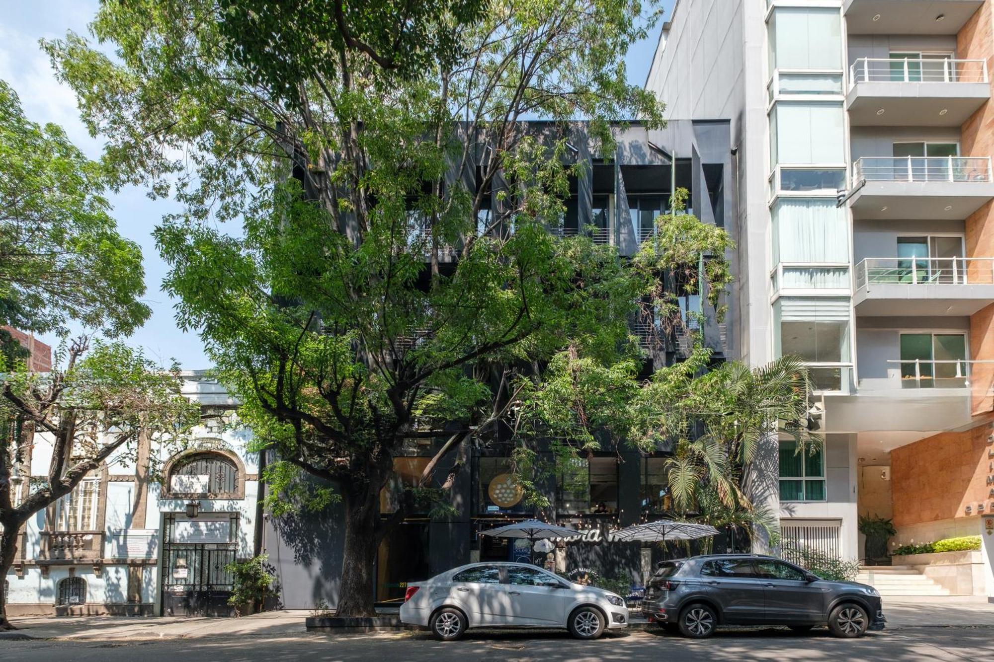 Boga Mexico City By Lumina Exterior foto
